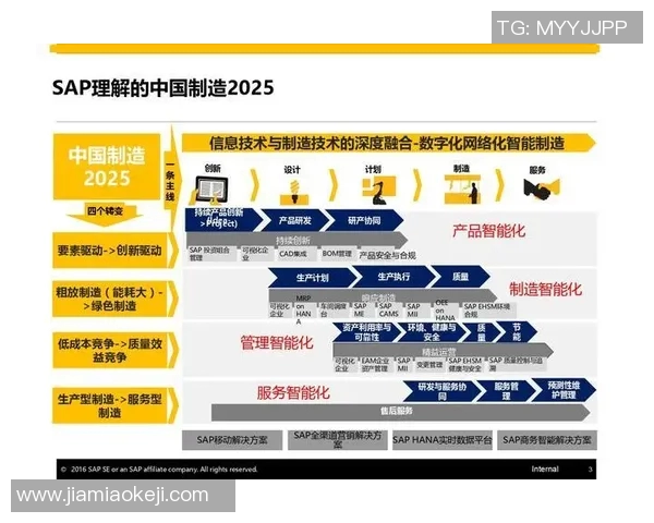 中国与德国的经济合作与文化交流新篇章探讨